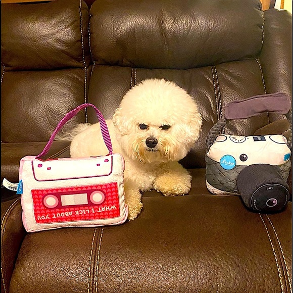 Dog toys 📷 🦴 - Picture 2 of 6